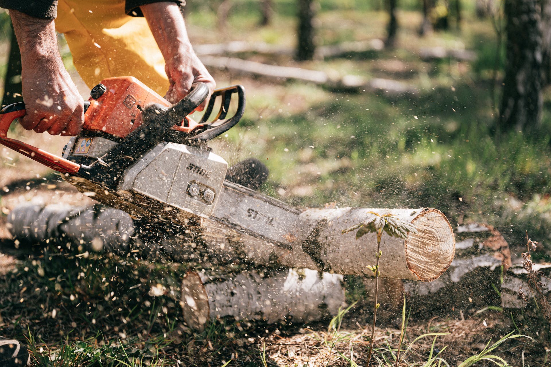 person holding chainsaw performing tree cutting with permission uk