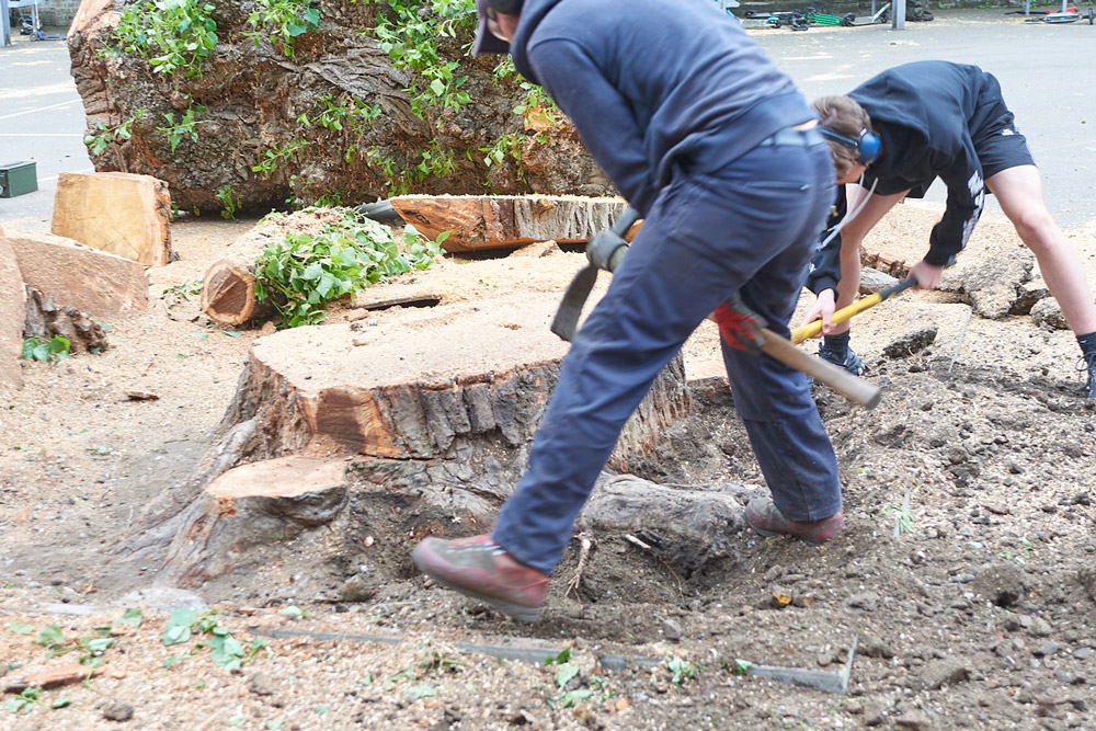 A tree surgeon safely removing a tree stump.