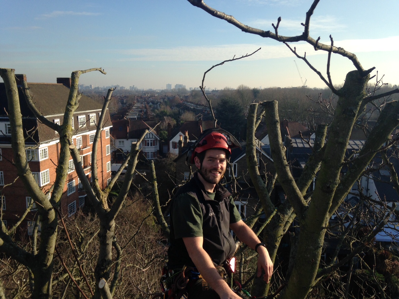 How To Master Tree Care Harford Tree