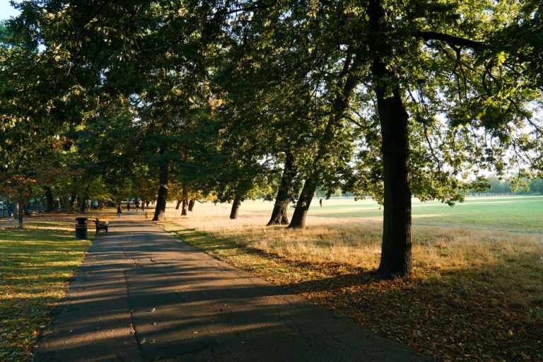 Clissold park North London