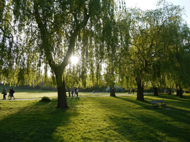 Hampstead Heath North London park