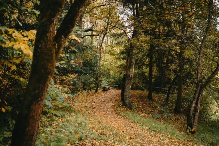 highgate wood north london