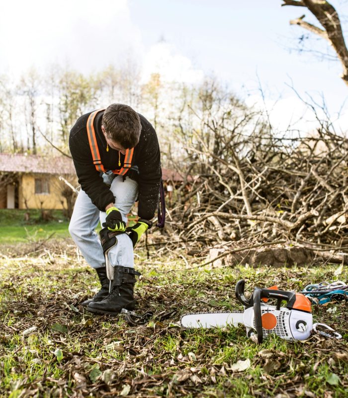 A tree surgeon prepares to cut down a tree by assembling the right equipment